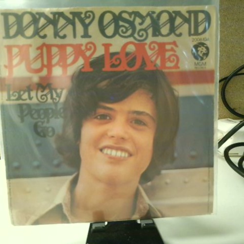 SINGLE / Donny Osmond – Puppy Love