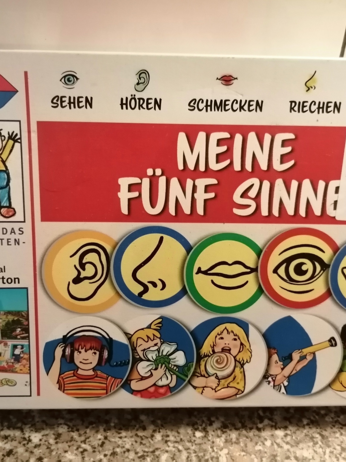 Brettspiel Meine 5 Sinne