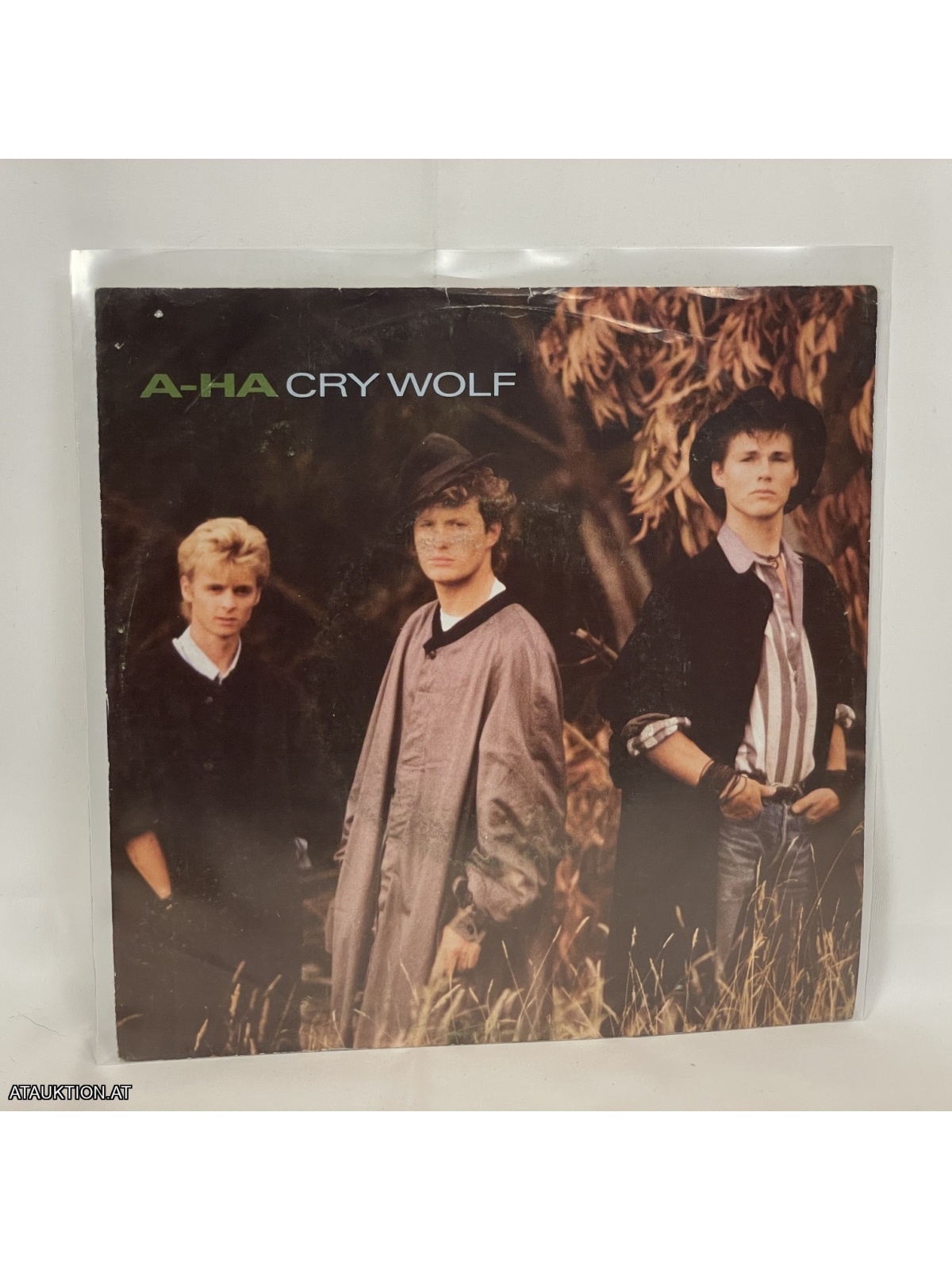 SINGLE / a-ha – Cry Wolf