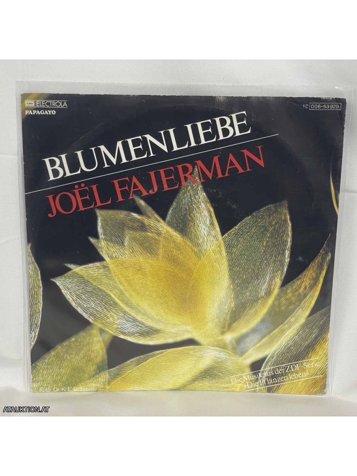 SINGLE / Joël Fajerman – Blumenliebe