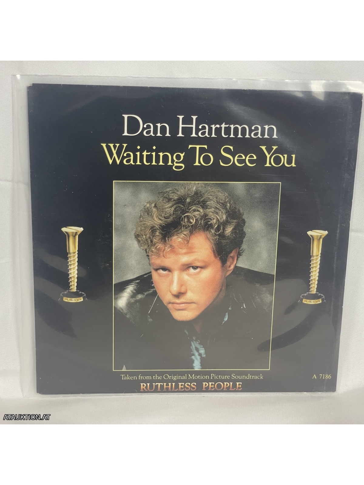 SINGLE / Dan Hartman – Waiting To See You