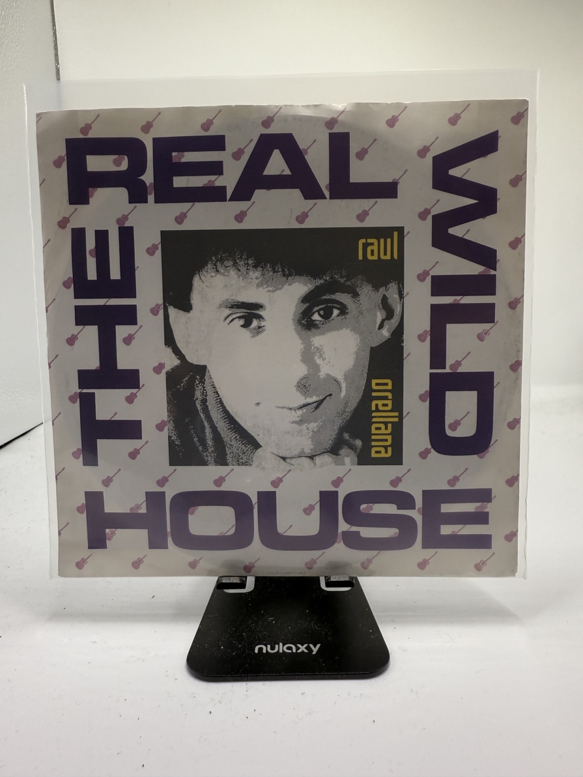 Single / Raul Orellana – The Real Wild House