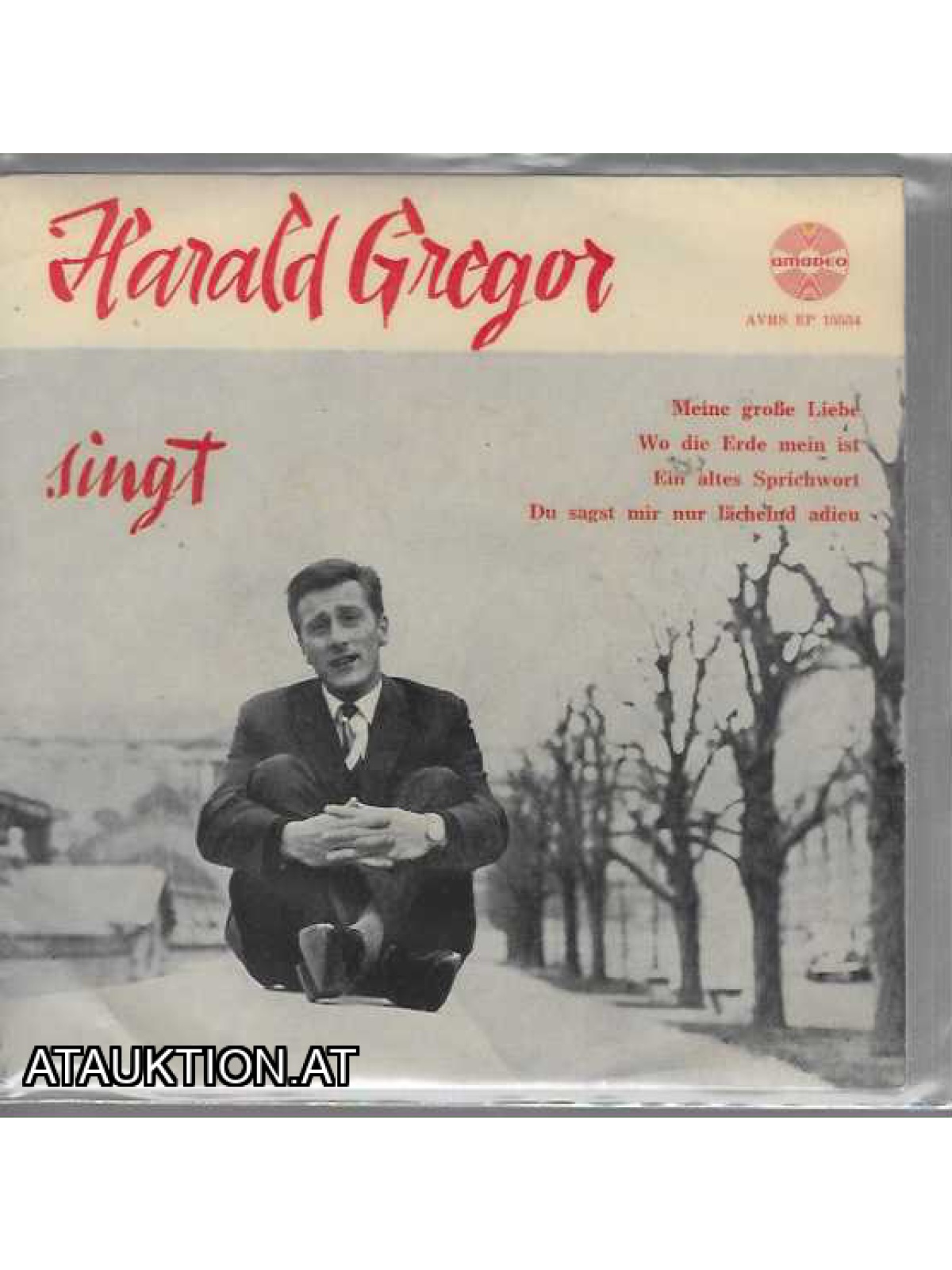 SINGLE / Harald Gregor singt - Meine Große Liebe