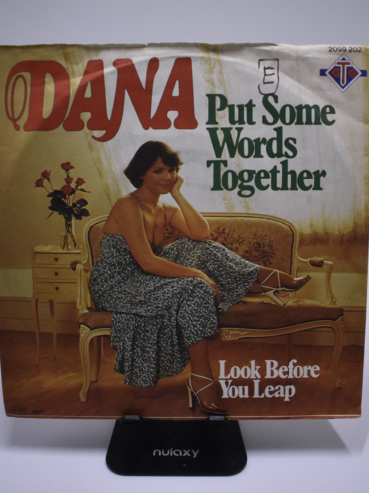 Single / Dana – Put Some Words Together