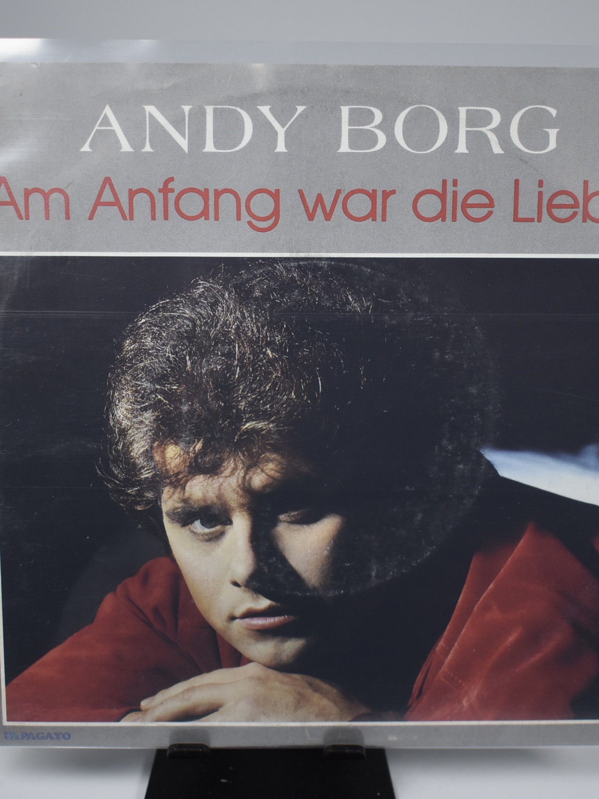 Single / Andy Borg – Am Anfang War Die Liebe