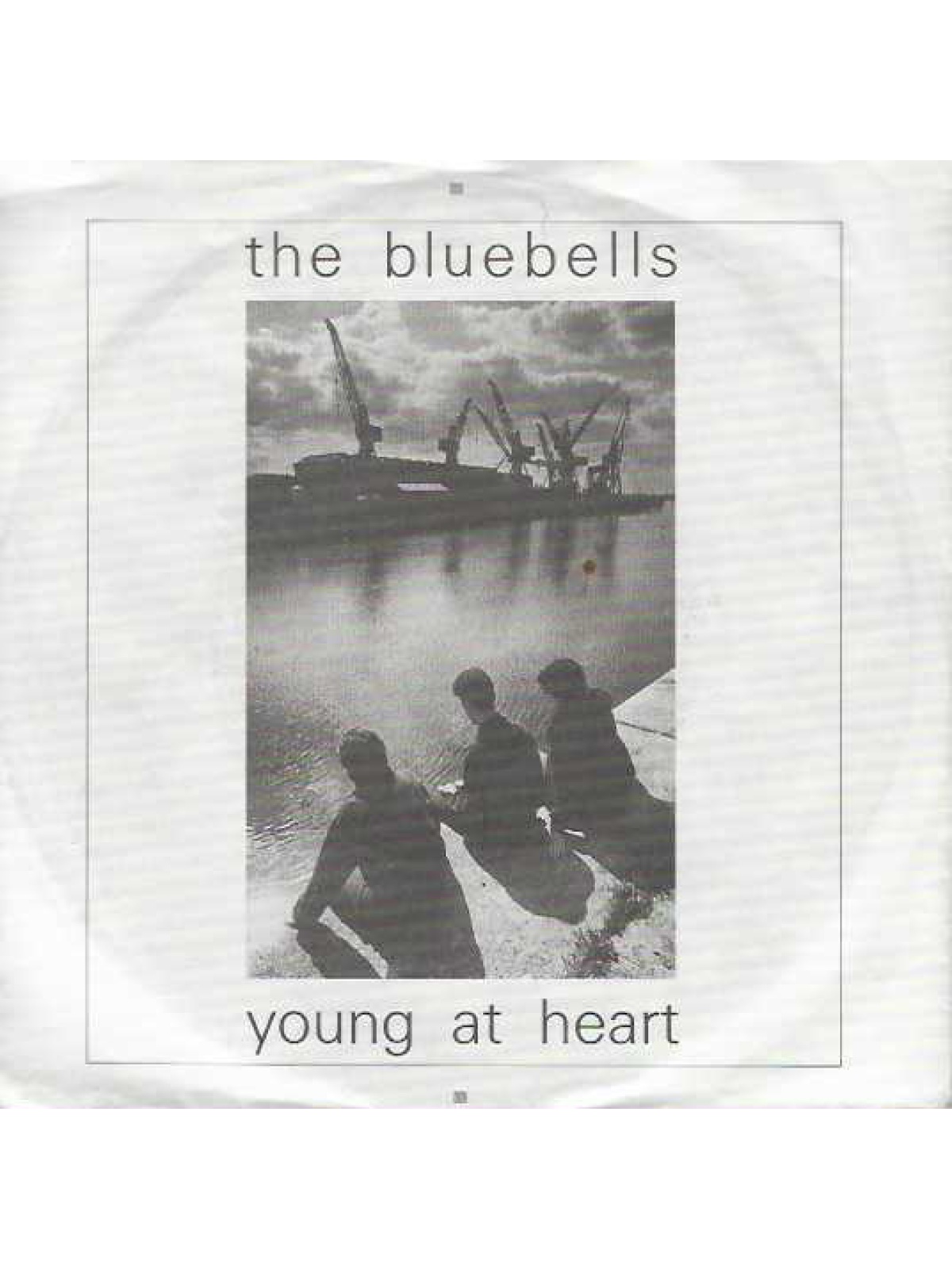 SINGLE / The Bluebells – Young At Heart