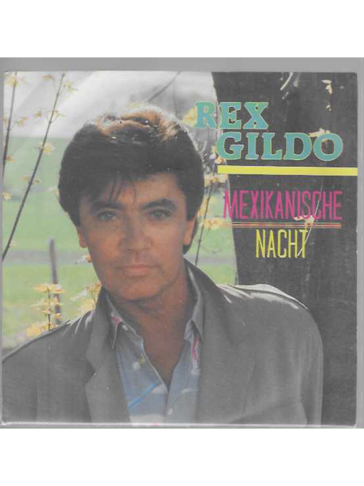 SINGLE / Rex Gildo – Mexikanische Nacht