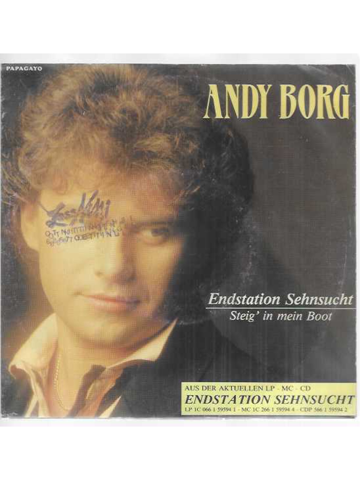 SINGLE / Andy Borg – Endstation Sehnsucht