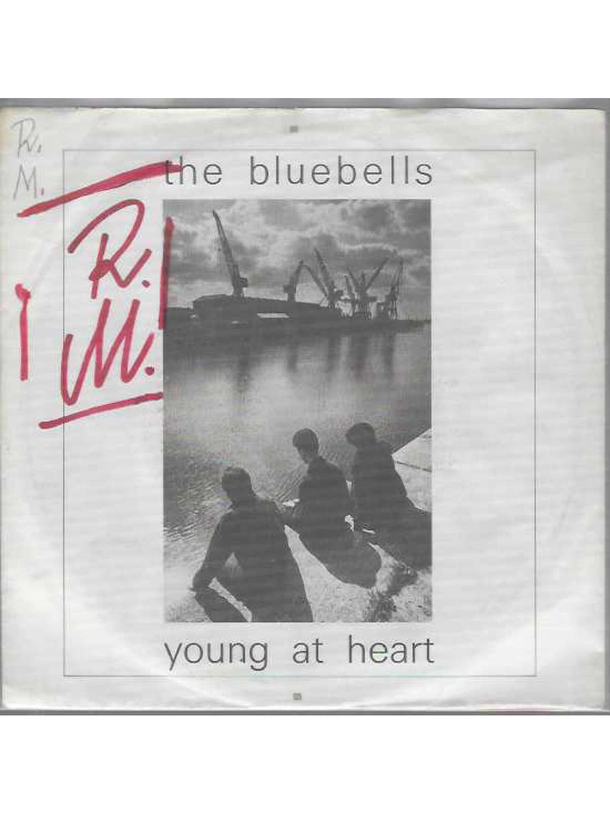 SINGLE / The Bluebells – Young At Heart