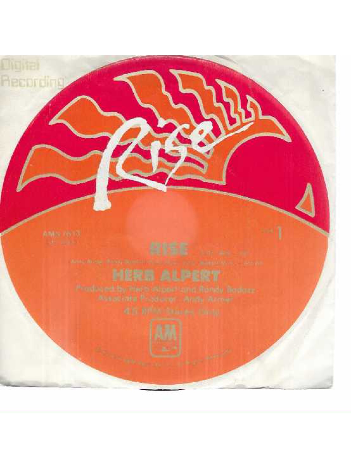 SINGLE / Herb Alpert – Rise