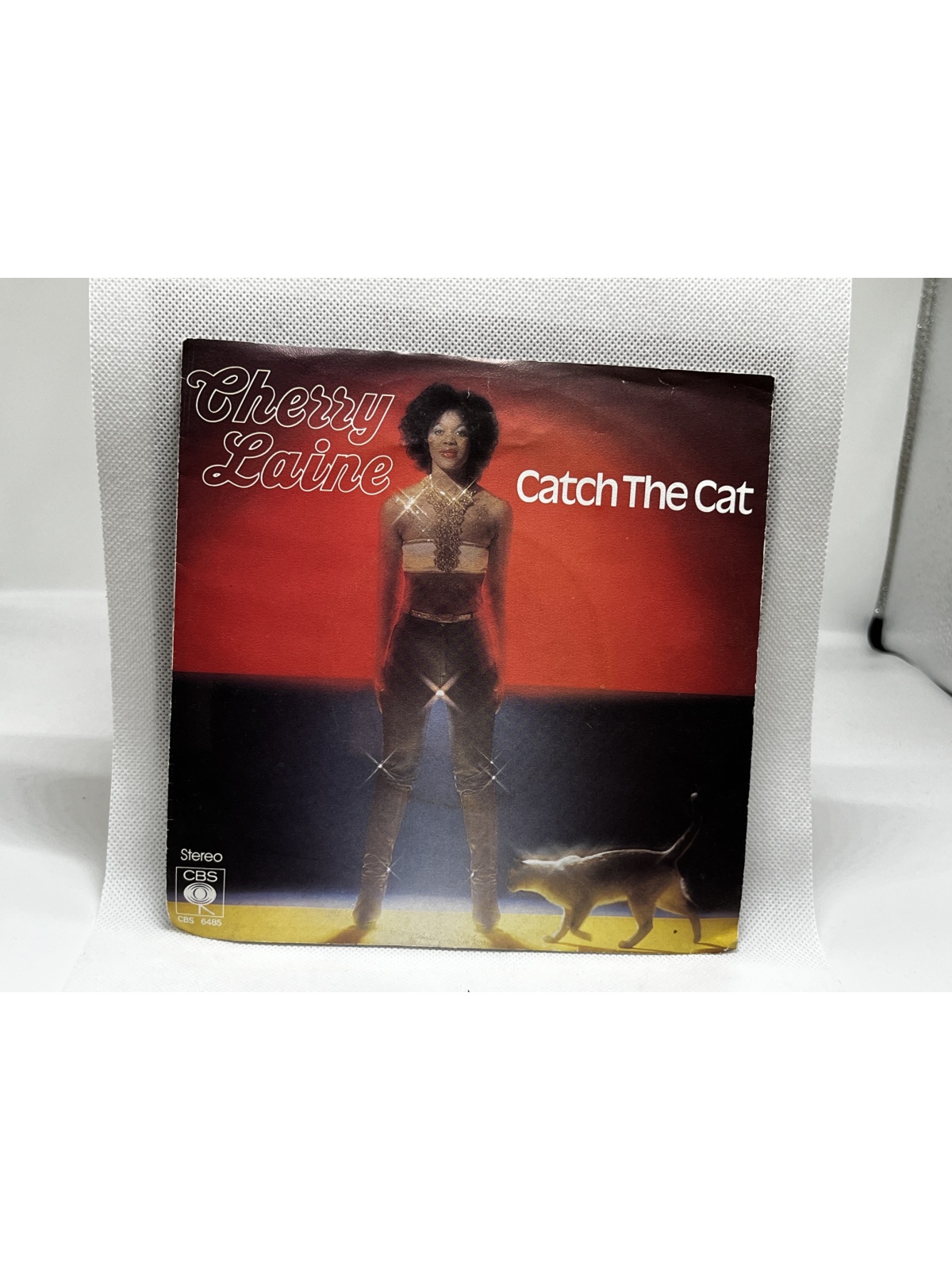 SINGLE / Cherry Laine – Catch The Cat