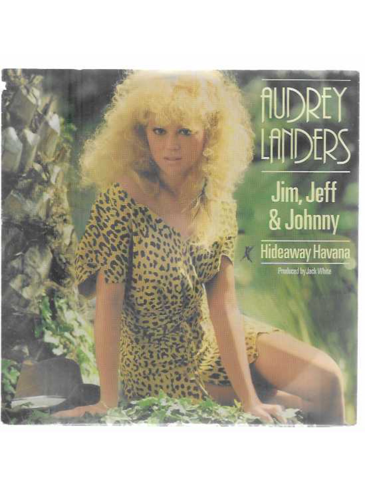 SINGLE / Audrey Landers – Jim, Jeff & Johnny